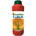 SoluPlant CaBoK