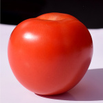 Tomate Híbrido Roble 956 F1