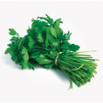 Cilantro Verdao (Hoja Ancha)