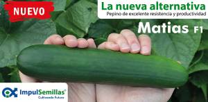 Lee más sobre el artículo Pepino Matías F1