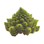 Coliflor Hibrido Navona F1