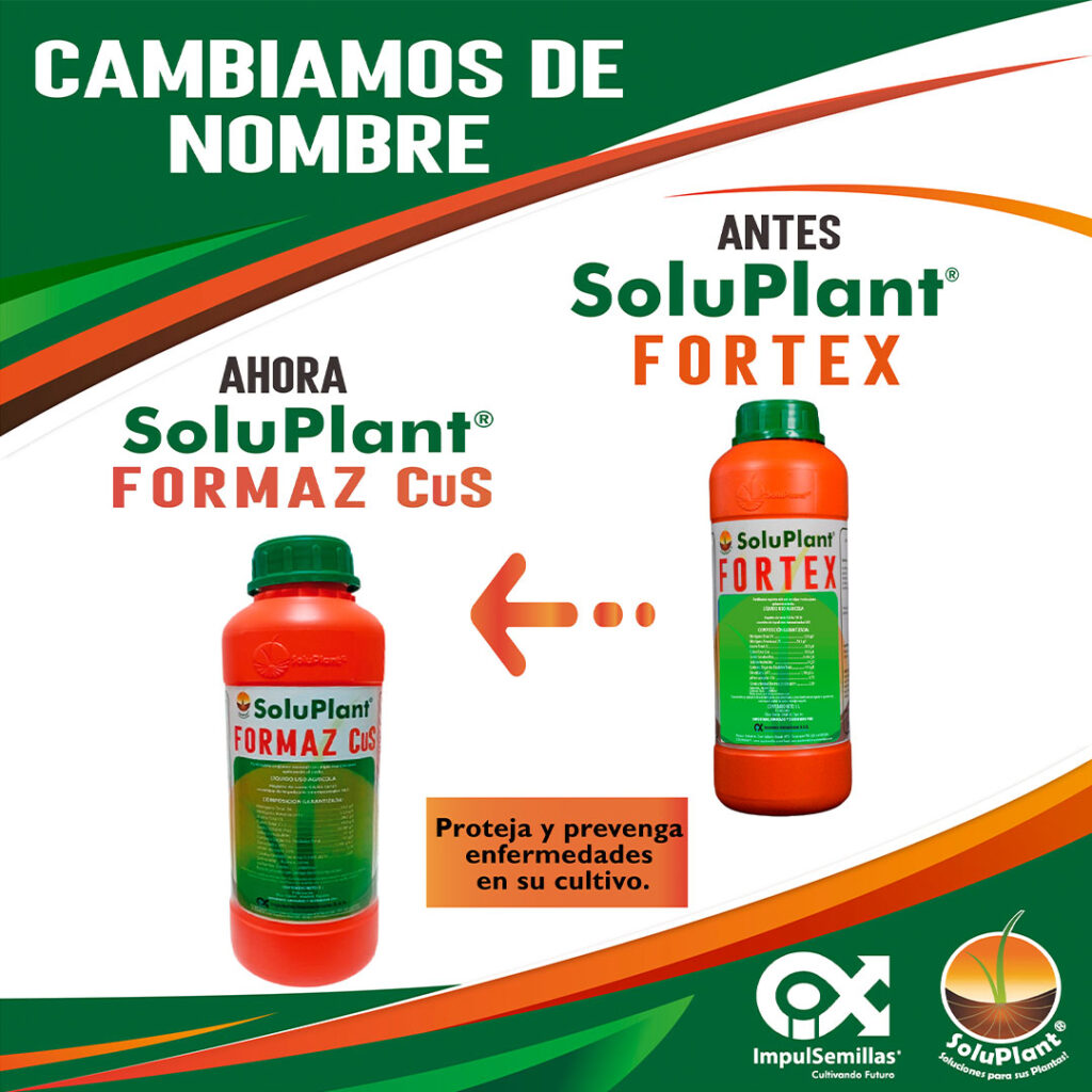 Fortex ahora es Formaz