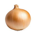 Cebolla Hibrida Madona