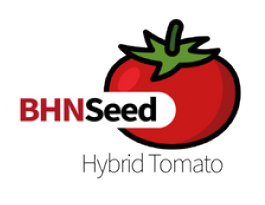 BHN Seed
